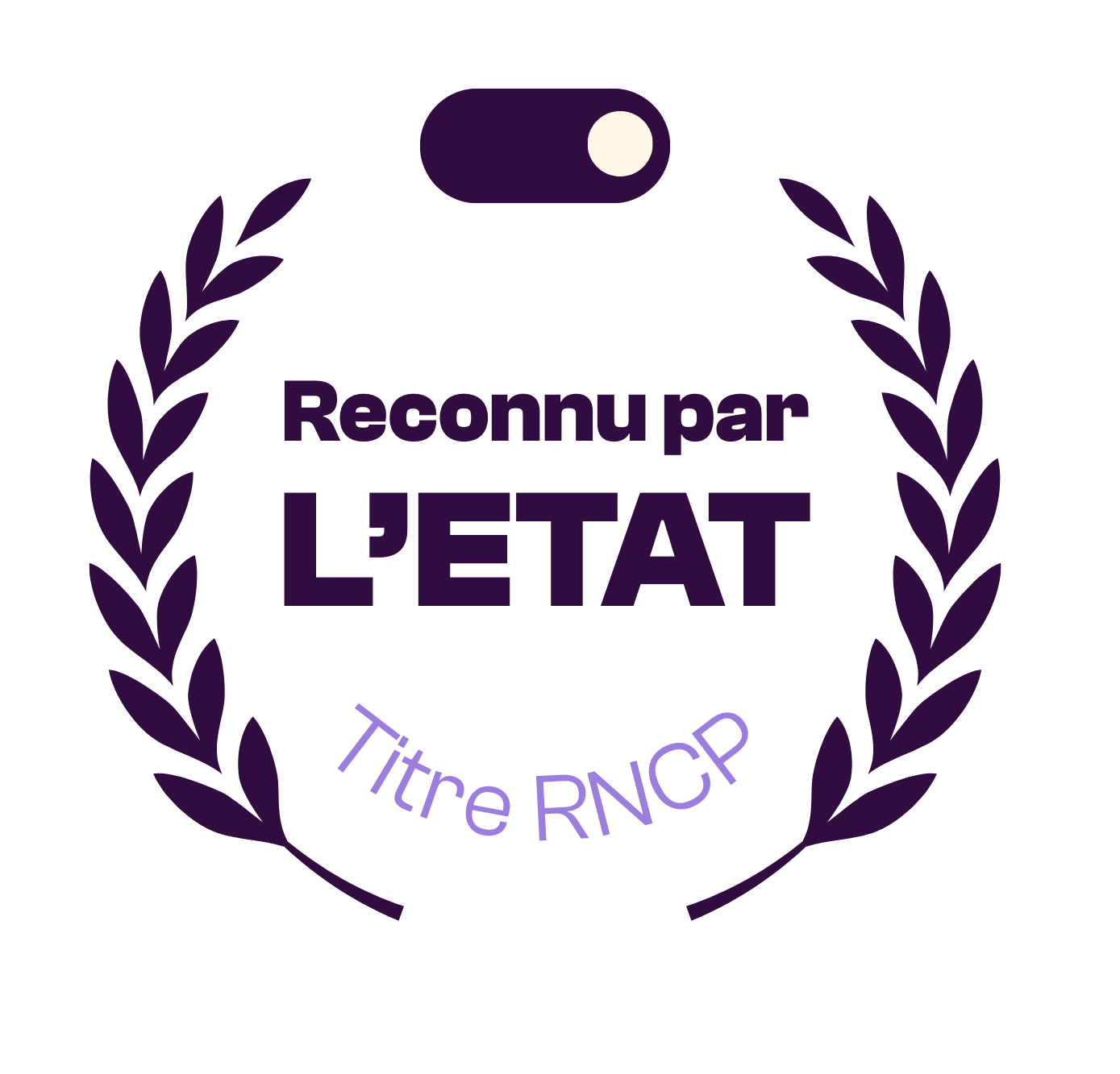 titre reconnu par l'etat